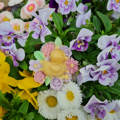 Snuggly Duckling soy handpoured wax melt