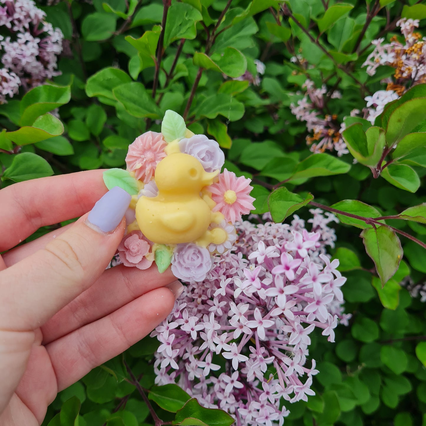 Snuggly Duckling soy handpoured wax melt
