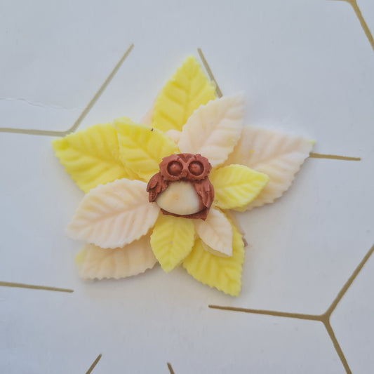 Wise Owl soy handpoured wax melt